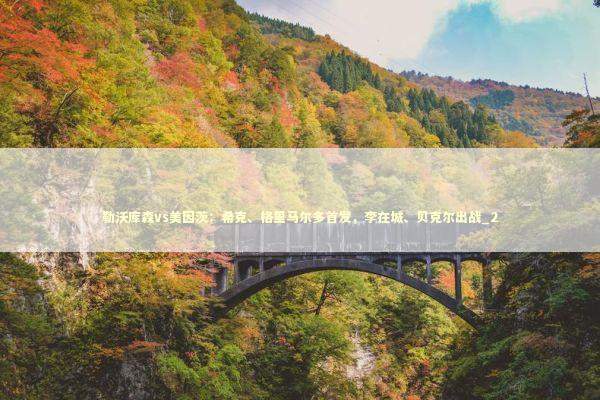 勒沃库森vs美因茨：希克、格里马尔多首发，李在城、贝克尔出战_2 新闻