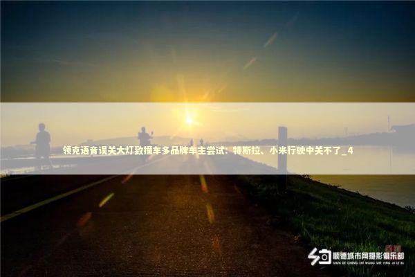 领克语音误关大灯致撞车多品牌车主尝试：特斯拉、小米行驶中关不了_4 新闻