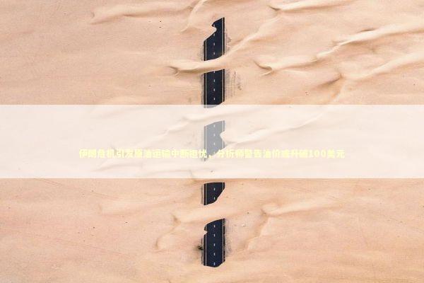 伊朗危机引发原油运输中断担忧，分析师警告油价或升破100美元 新闻