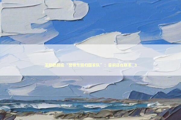 王励勤回应“樊振东回归国家队”：目前还在联系_3 新闻