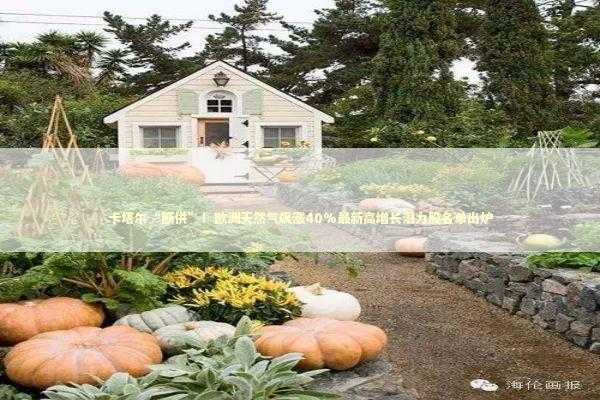 卡塔尔“断供”！欧洲天然气飙涨40%最新高增长潜力股名单出炉 新闻