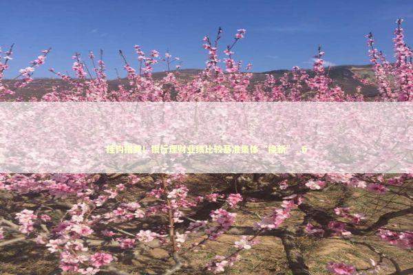 挂钩指数！银行理财业绩比较基准集体“换新”_6 新闻