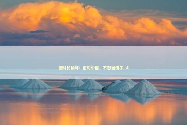德财长挑衅：面对中国，不想当傻子_4 新闻