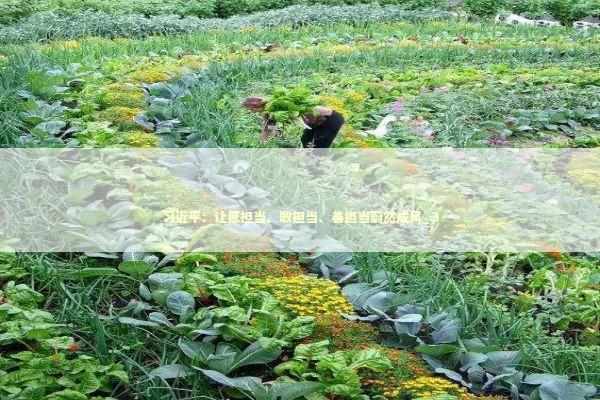 习近平：让愿担当、敢担当、善担当蔚然成风_3 新闻