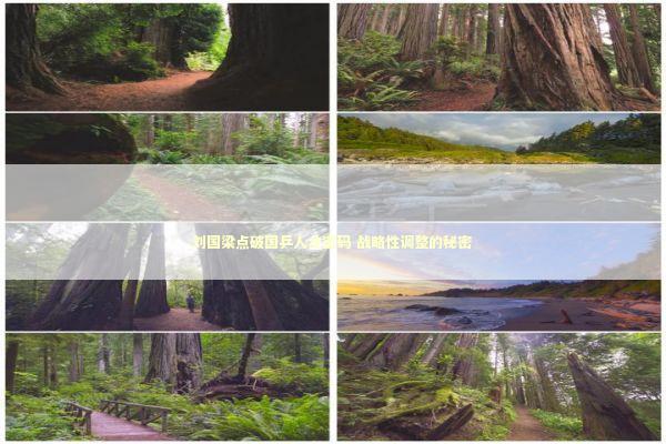 刘国梁点破国乒人才密码 战略性调整的秘密 新闻