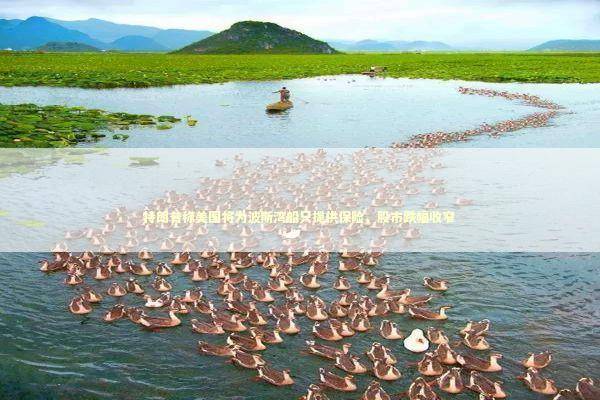 特朗普称美国将为波斯湾船只提供保险，股市跌幅收窄 新闻