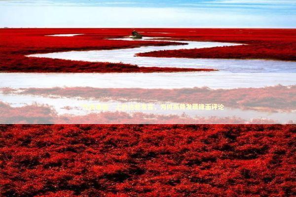 “代表通道”上的这些发言，为何振聋发聩锋面评论