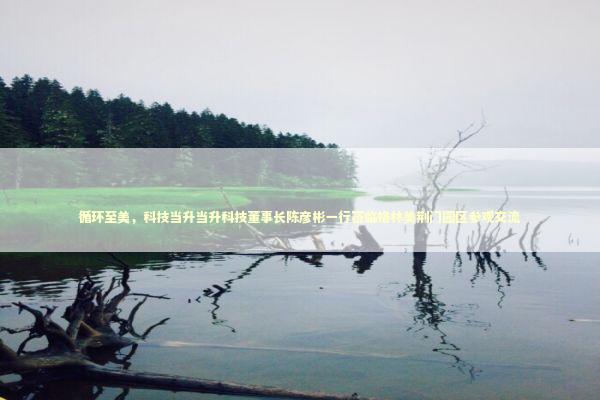 循环至美，科技当升当升科技董事长陈彦彬一行莅临格林美荆门园区参观交流 新闻