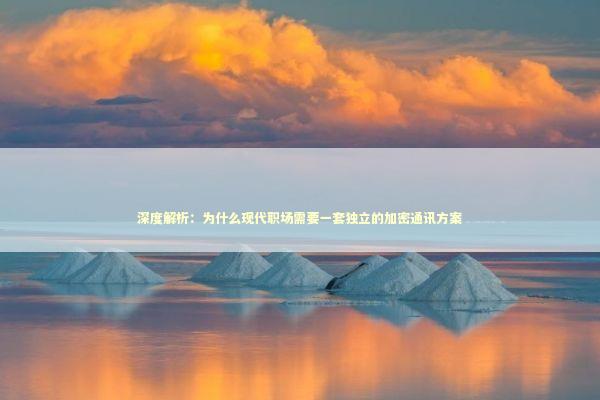 深度解析：为什么现代职场需要一套独立的加密通讯方案