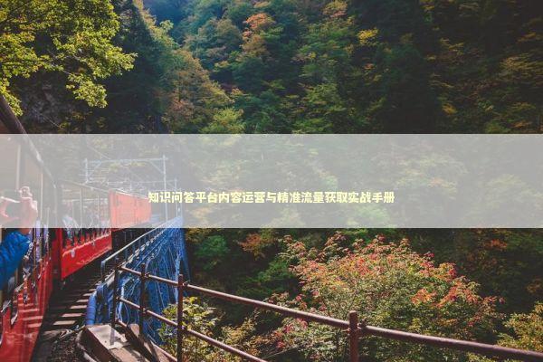 知识问答平台内容运营与精准流量获取实战手册 IT技术